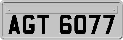 AGT6077