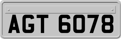 AGT6078