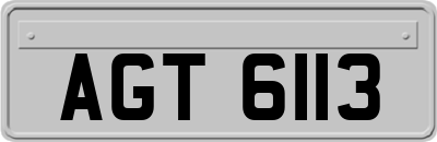 AGT6113