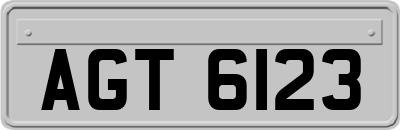 AGT6123