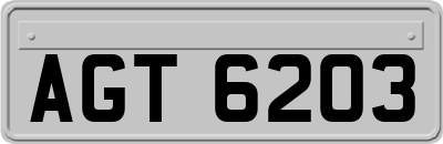 AGT6203