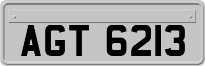AGT6213