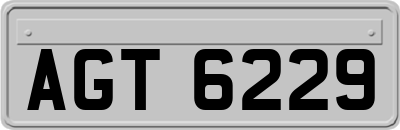 AGT6229