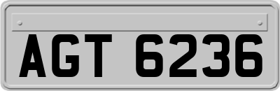 AGT6236