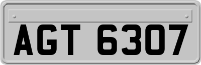 AGT6307