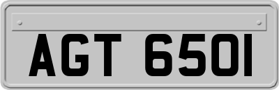 AGT6501