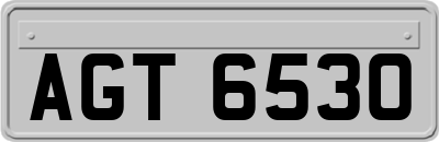 AGT6530