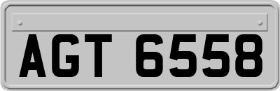 AGT6558