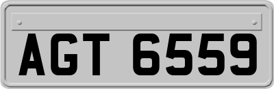 AGT6559