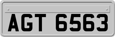 AGT6563