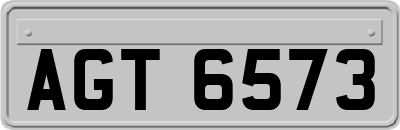AGT6573