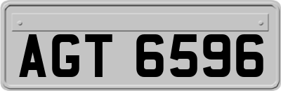 AGT6596