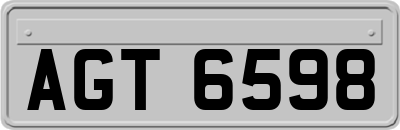 AGT6598
