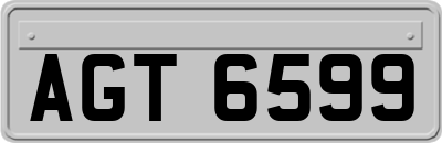 AGT6599