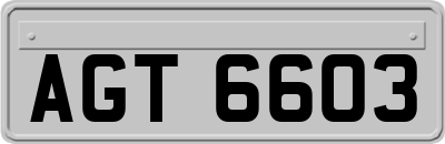 AGT6603