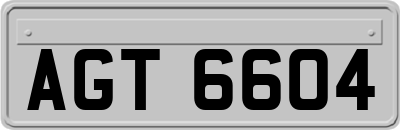 AGT6604