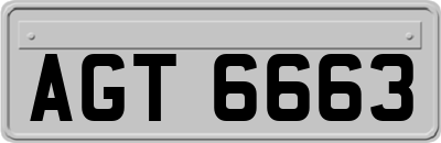 AGT6663
