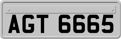 AGT6665