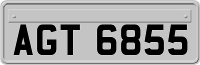 AGT6855