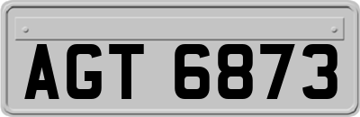 AGT6873