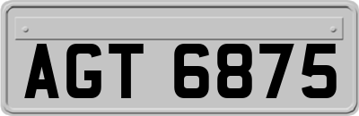 AGT6875