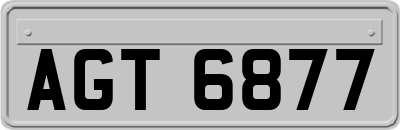 AGT6877