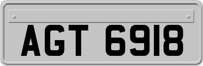AGT6918