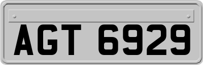 AGT6929