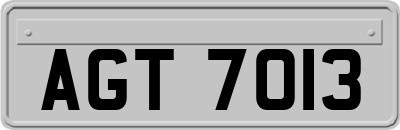 AGT7013