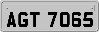 AGT7065