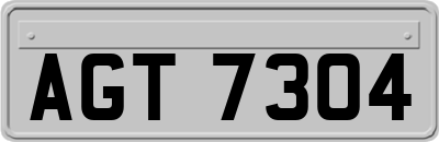 AGT7304