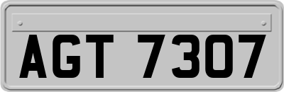 AGT7307