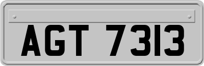 AGT7313