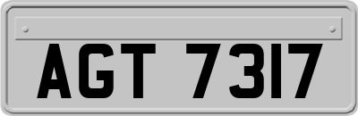 AGT7317