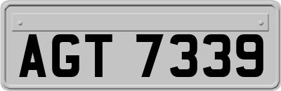 AGT7339