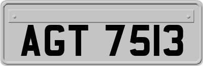 AGT7513