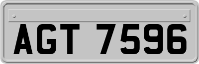 AGT7596
