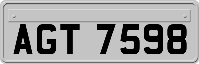 AGT7598
