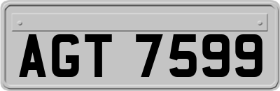 AGT7599