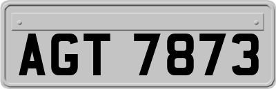 AGT7873