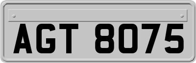 AGT8075