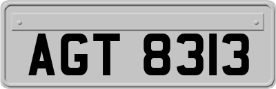 AGT8313