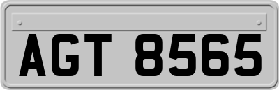 AGT8565