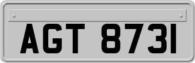 AGT8731
