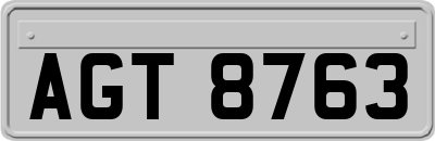 AGT8763