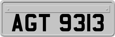AGT9313