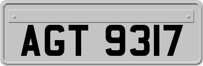 AGT9317