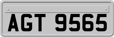 AGT9565