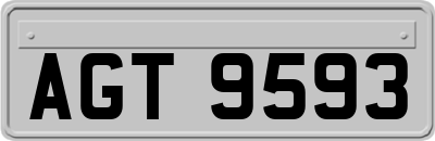 AGT9593