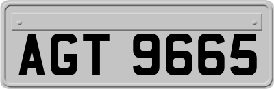 AGT9665